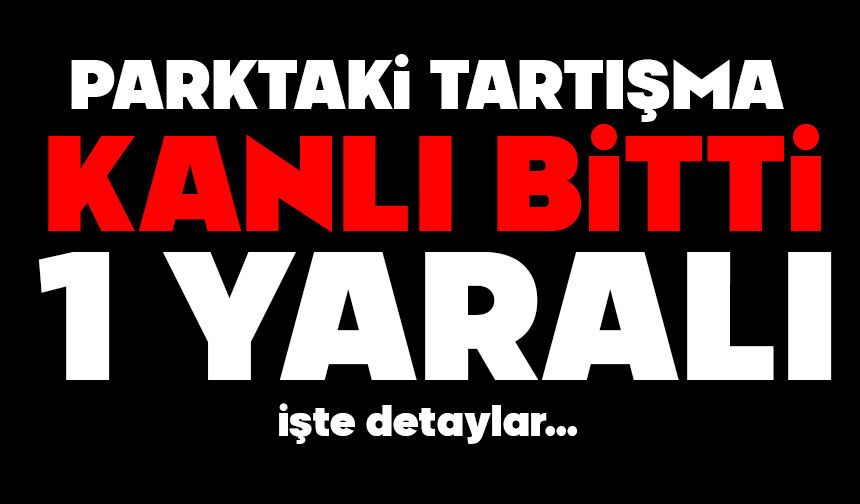 Parktaki tartışma kanlı bitti: 1 yaralı