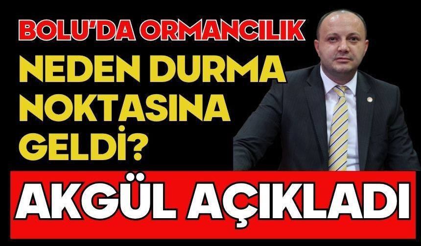 BOLU’DA ORMANCILIK NEDEN DURMA NOKTASINA GELDİ? AKGÜL AÇIKLADI