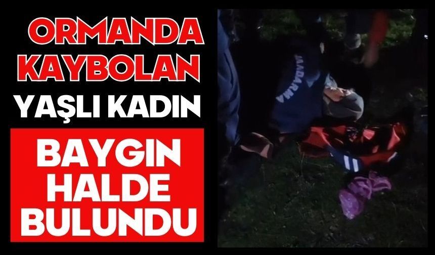 Ormanda kaybolan yaşlı kadın baygın halde bulundu