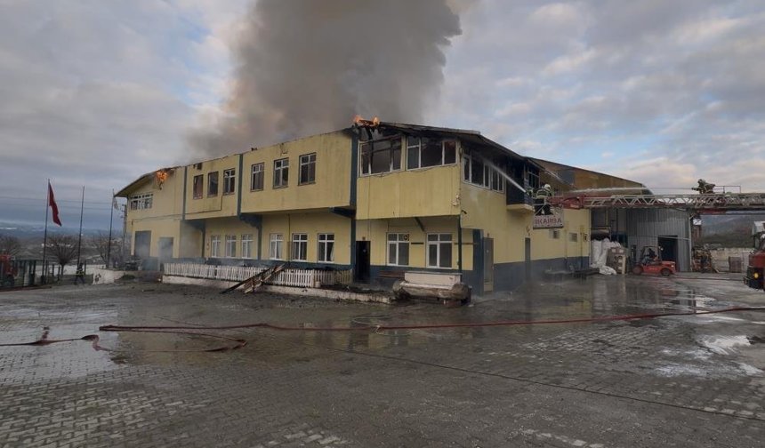 Kastamonu'daki fabrika yangını kontrol altına alındı