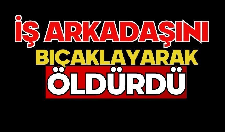 İş arkadaşını bıçaklayarak öldürdü
