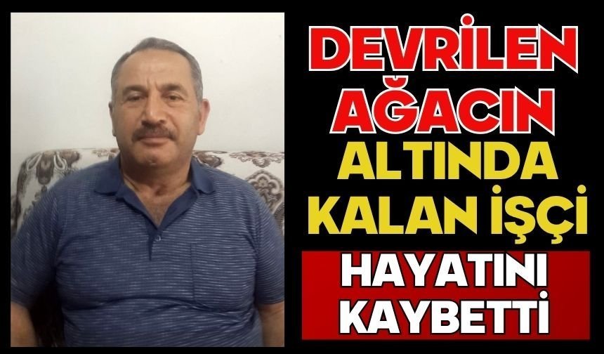 Devrilen ağacın altında kalan işçi hayatını kaybetti