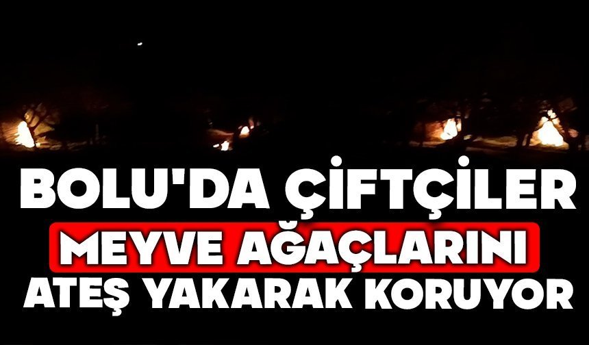 Bolu'da çiftçiler meyve ağaçlarını ateş yakarak koruyor