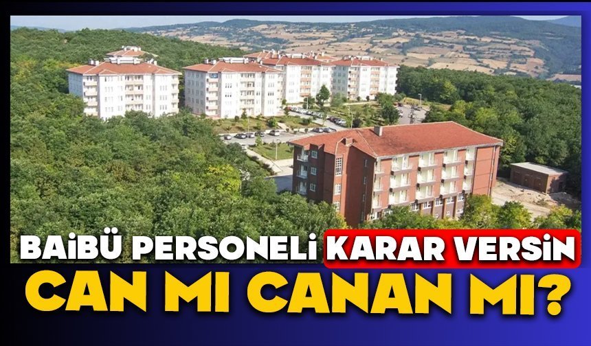 Baibü Personeli Karar Versin, Can Mı Canan Mı?