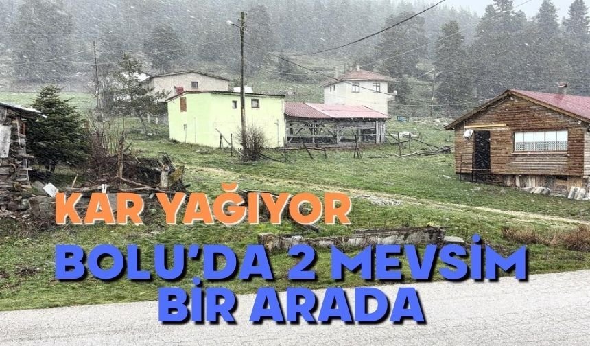 Bolu'da aynı anda 2 mevsim