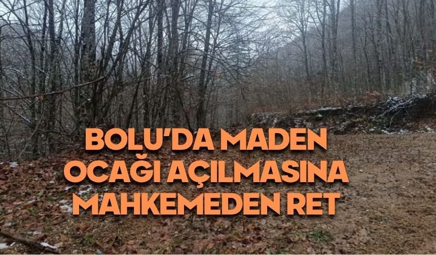 Bolu'da maden ocağına mahkemeden ret