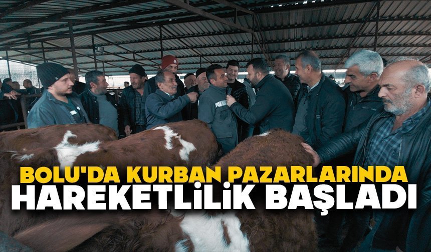 Bolu'da kurban pazarlarında hareketlilik başladı