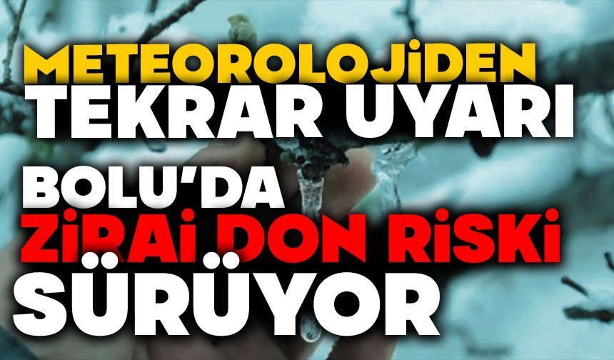 Bolu’da Zirai Don Riski Sürüyor