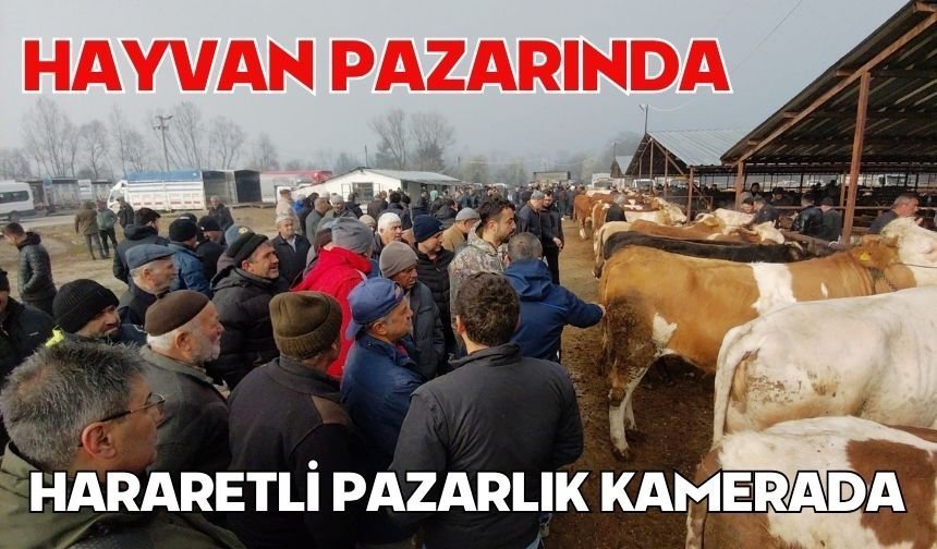 Hayvan pazarında hararetli pazarlık kamerada