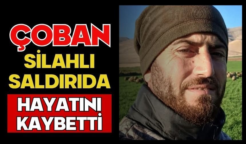 Çoban silahlı saldırıda hayatını kaybetti