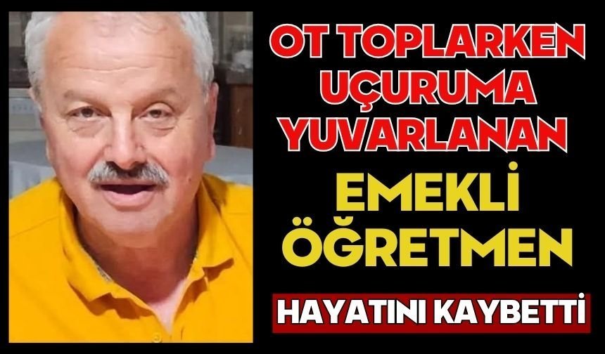 Ot toplarken uçuruma yuvarlanan emekli öğretmen hayatını kaybetti
