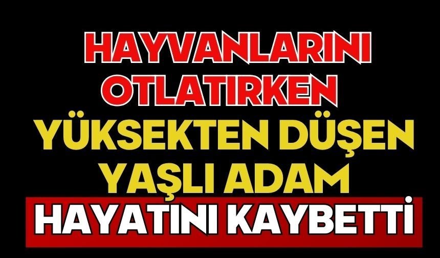 Hayvanlarını otlatırken yüksekten düşen yaşlı adam hayatını kaybetti