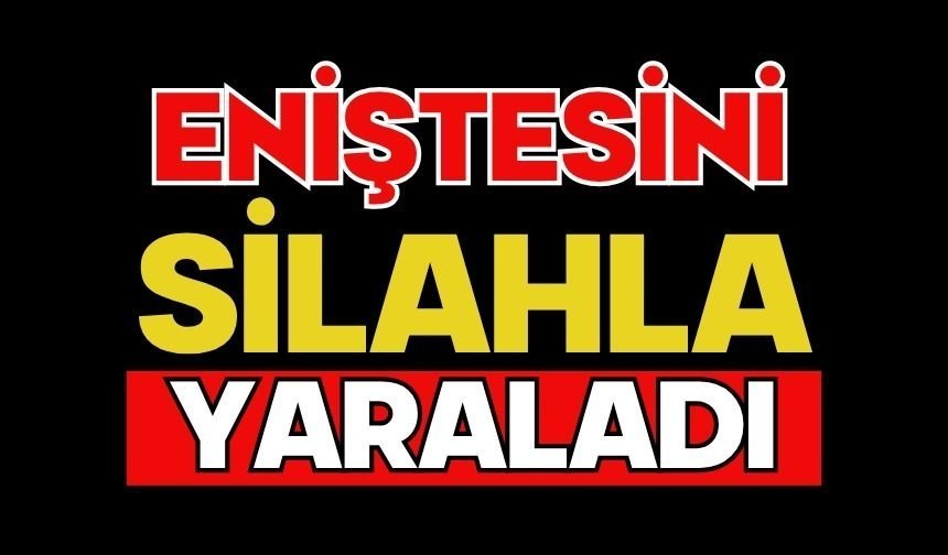Eniştesini silahla yaraladı
