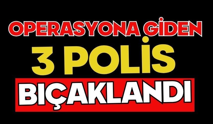Operasyona giden 3 polis bıçaklandı