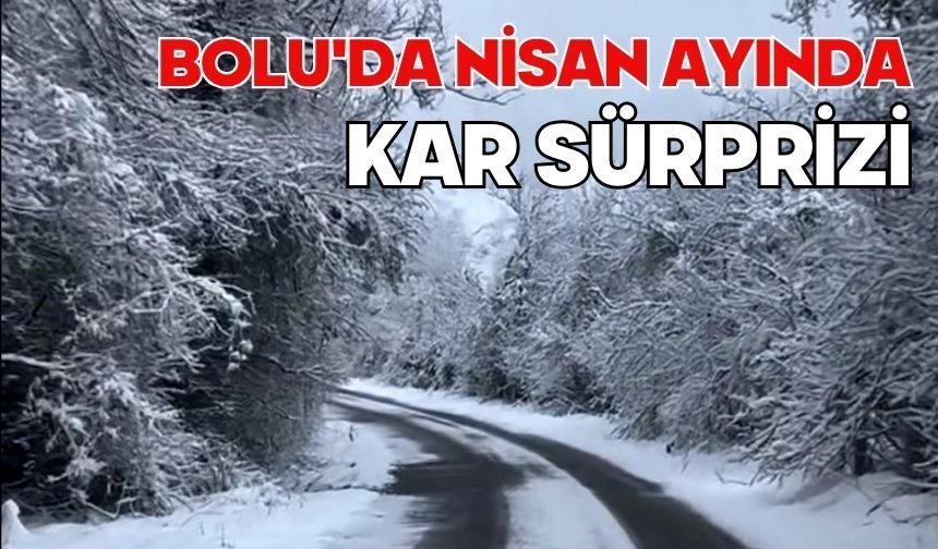 Bolu'da nisan ayında kar sürprizi