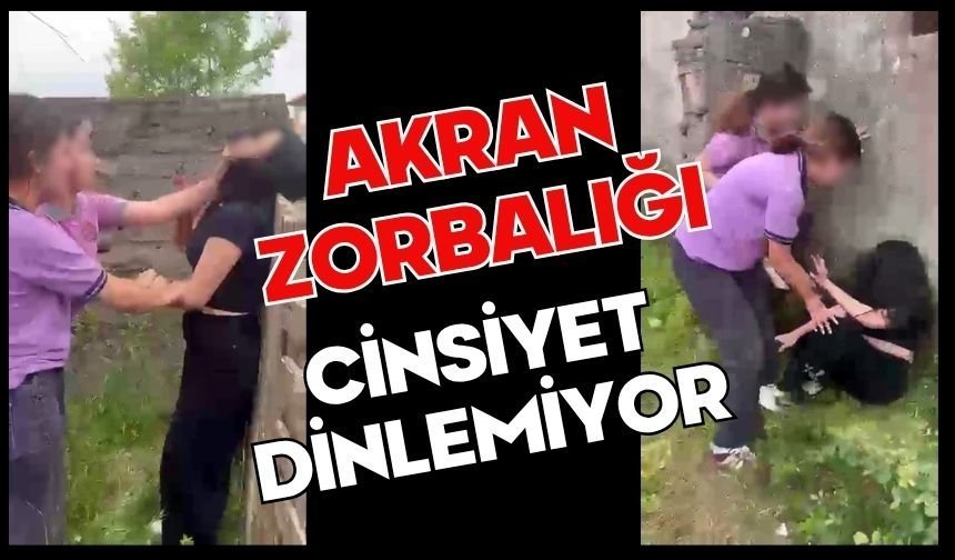 Akran zorbalığı cinsiyet dinlemiyor
