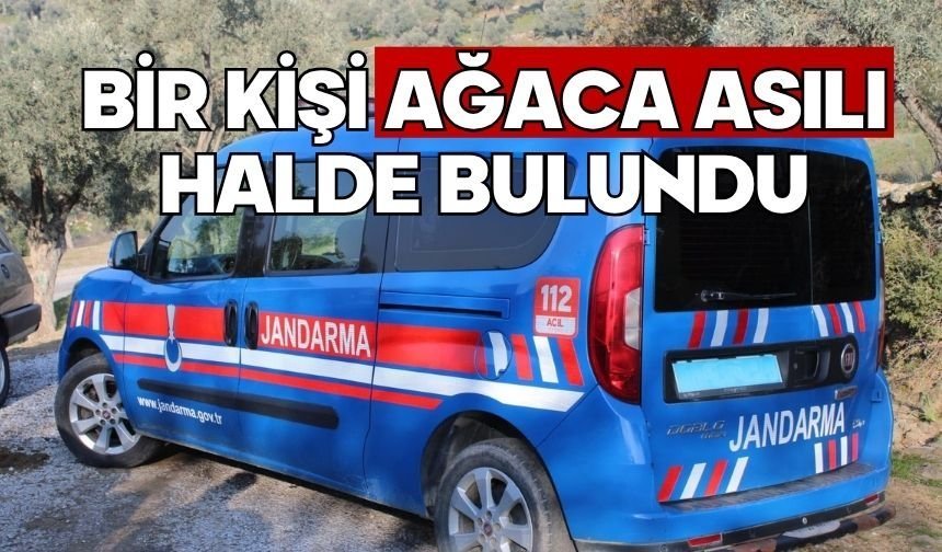 Bir kişi ağaca asılı halde bulundu