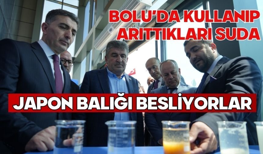 Bolu'da kullanıp arıttıkları suda Japon balığı besliyorlar