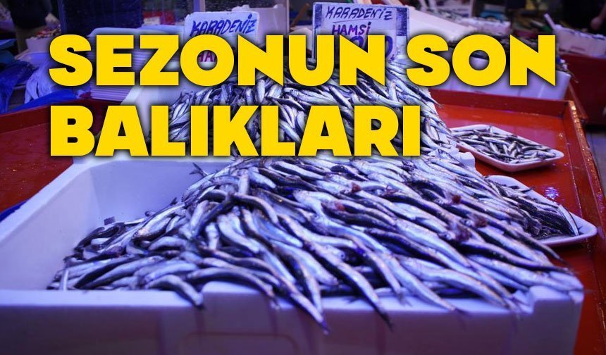 Bolu'da sezonun son balıkları vatandaşla buluşuyor