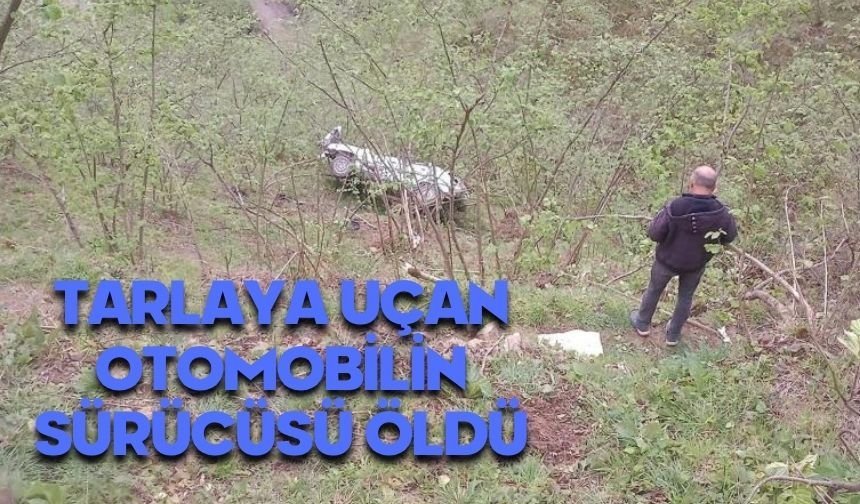 Tarlaya uçan otomobilin sürücüsü hayatını kaybetti