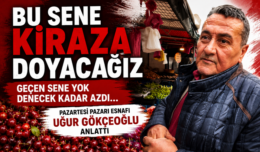 Bu sene kiraza doyacağız