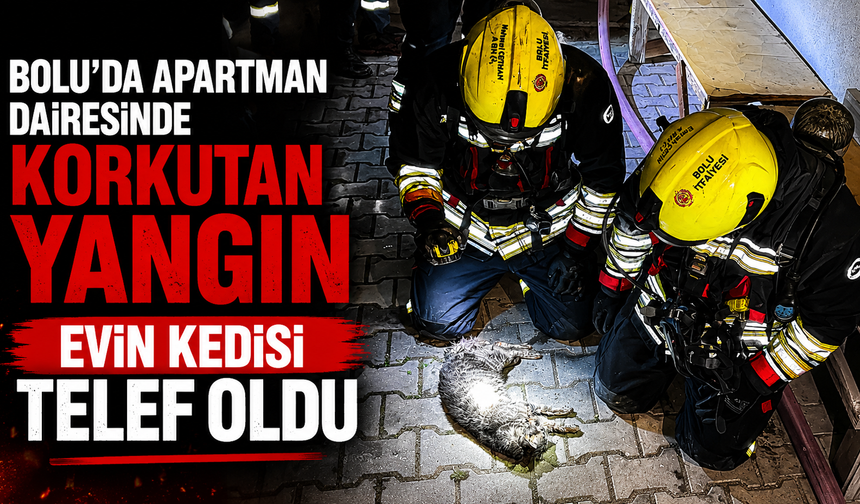Bolu’da apartman dairesinde korkutan yangın: Evin kedisi telef oldu