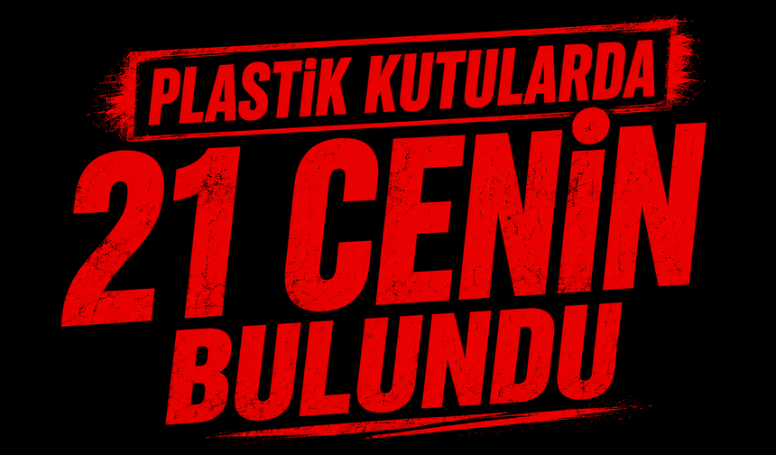 Plastik kutularda 21 cenin bulundu