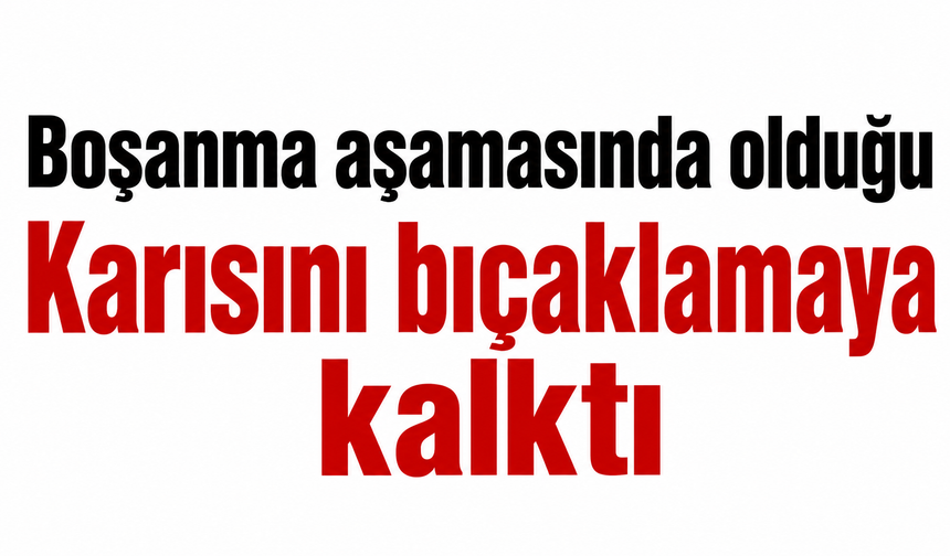Karısını bıçaklamaya kalktı