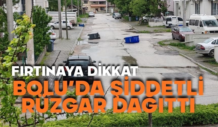 Bolu'da şiddetli rüzgar dağıttı