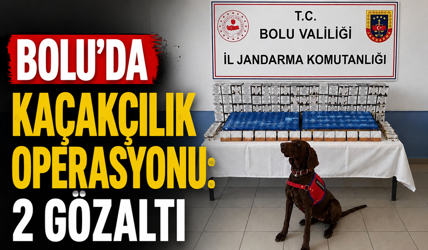 Bolu’da kaçakçılık operasyonu: 2 gözaltı