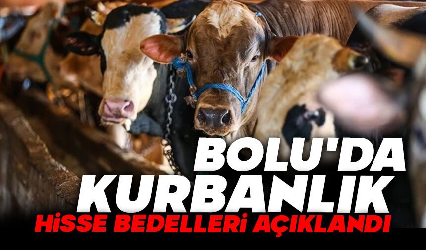 Bolu'da kurbanlık hisse bedelleri açıklandı