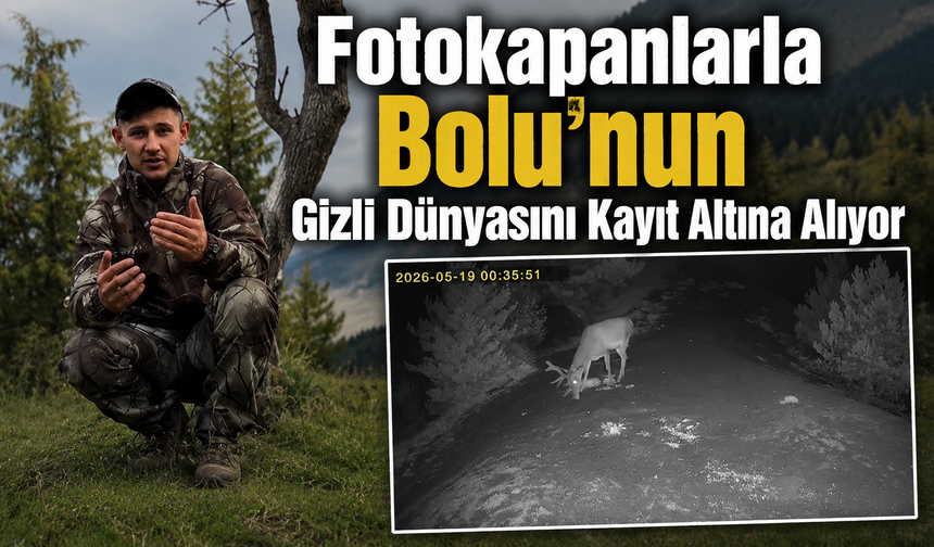 Bolulu Doğaseverden Yaban Hayatına Yakın Takip