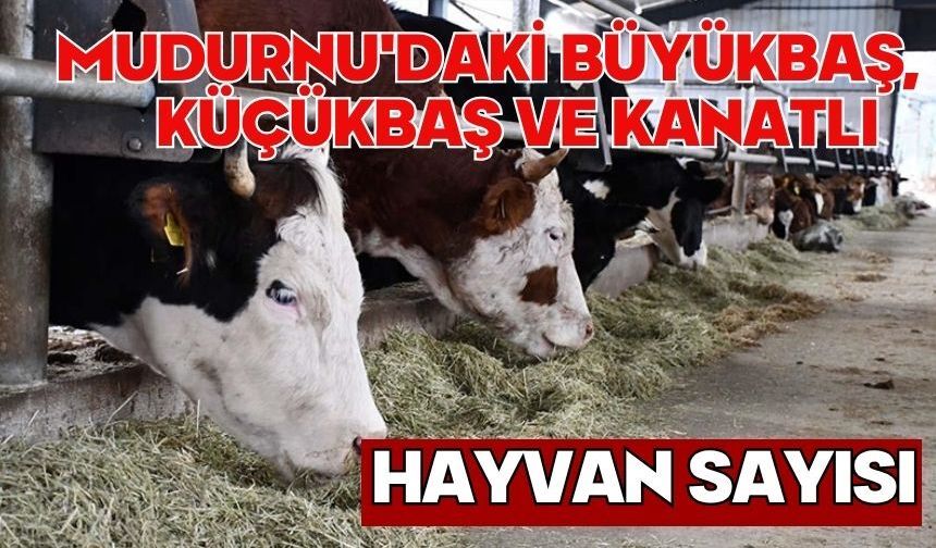 MUDURNU'DAKİ BÜYÜKBAŞ, KÜÇÜKBAŞ VE KANATLI HAYVAN SAYISI
