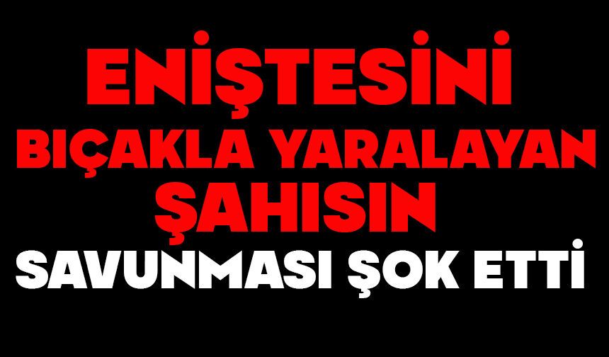 Eniştesini bıçakla yaralayan şahısın savunması şok etti