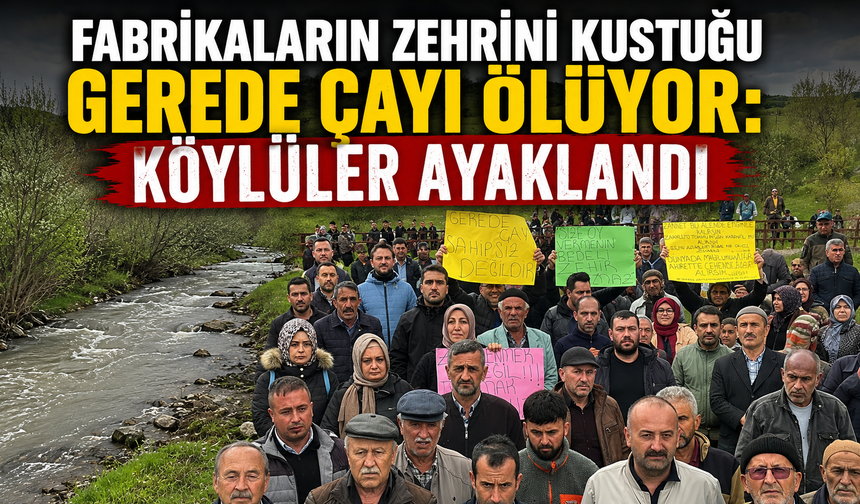 Fabrikaların zehrini kustuğu Gerede Çayı ölüyor: Köylüler ayaklandı
