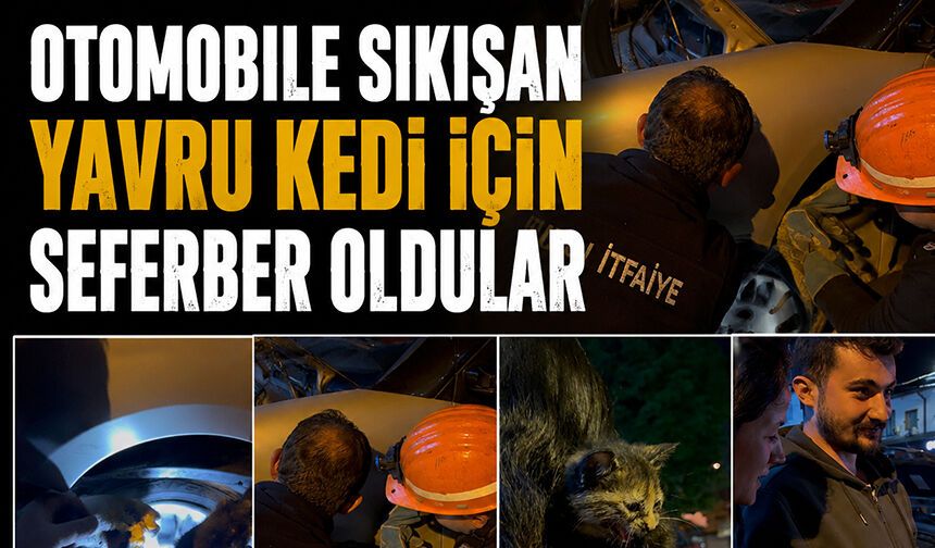 Otomobile Sıkışan Yavru Kedi İçin Seferber Oldular
