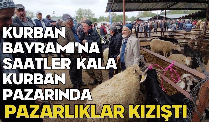 Kurban Bayramı'na saatler kala kurban pazarında pazarlıklar kızıştı