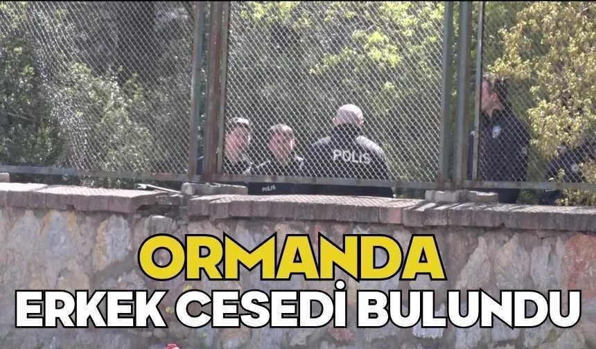 Ormanda erkek cesedi bulundu