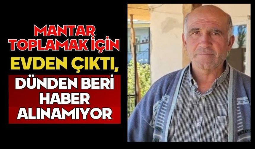 Mantar toplamak için evden çıktı, dünden beri haber alınamıyor