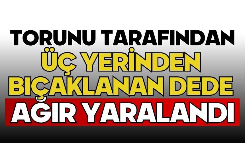 Torunu tarafından üç yerinden bıçaklanan dede ağır yaralandı