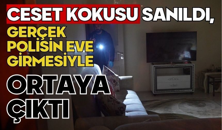 Ceset kokusu sanıldı, gerçek polisin eve girmesiyle ortaya çıktı