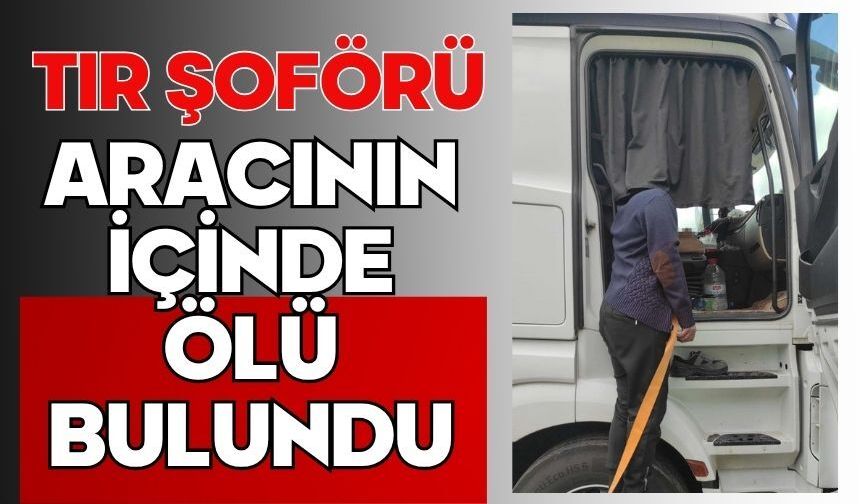 Tır şoförü aracının içinde ölü bulundu