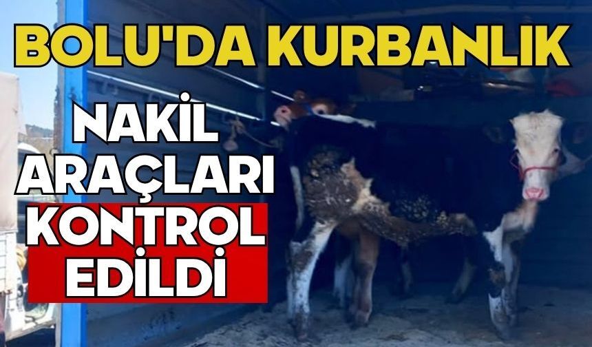 Bolu'da kurbanlık nakil araçları kontrol edildi