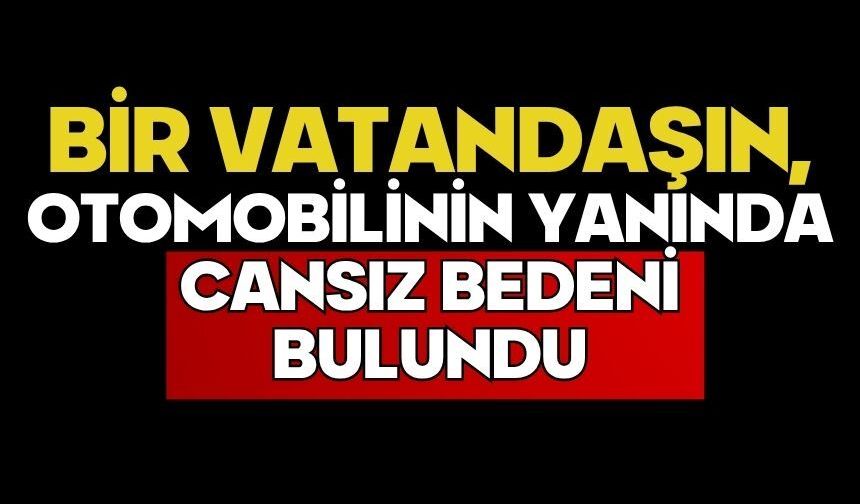 Bir vatandaşın, otomobilinin yanında cansız bedeni bulundu