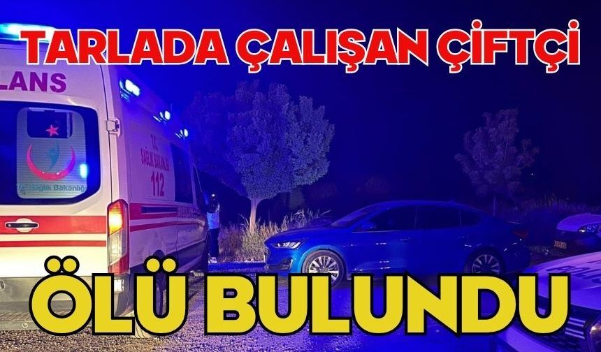 Tarlada çalışan çiftçi ölü bulundu