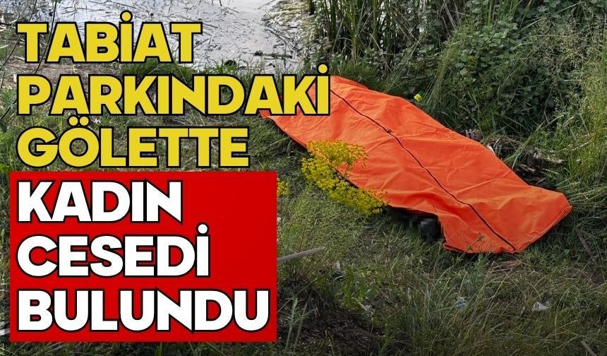 Tabiat parkındaki gölette kadın cesedi bulundu