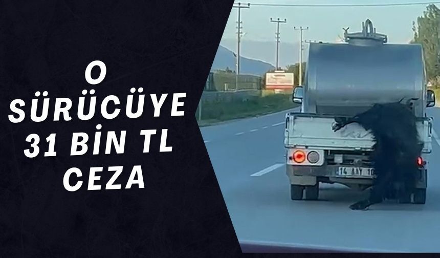 O SÜRÜCÜYE 31 BİN LİRA CEZA