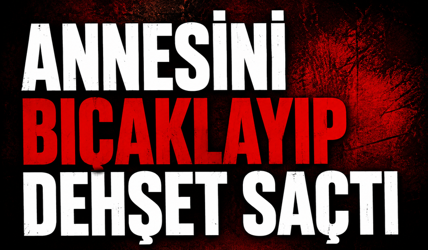 Annesini bıçaklayıp dehşet saçtı