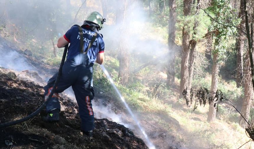 Sakarya'da ağaçlık alanda korkutan yangın