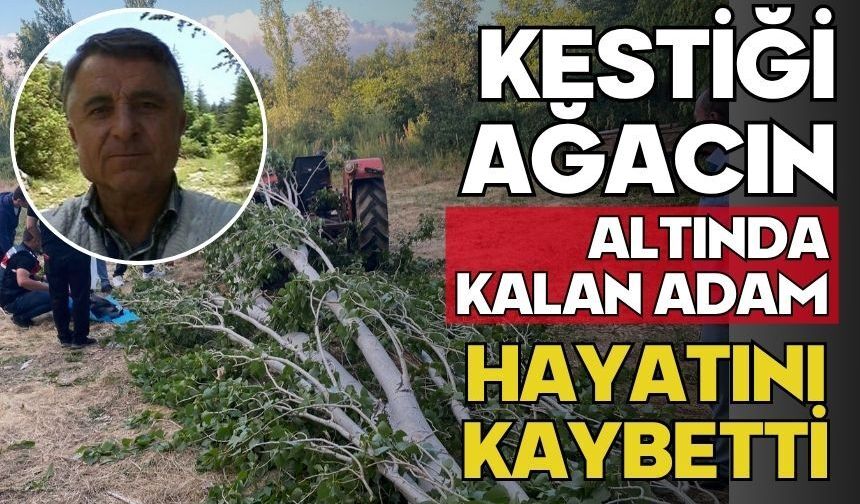 Kestiği ağacın altında kalan adam hayatını kaybetti